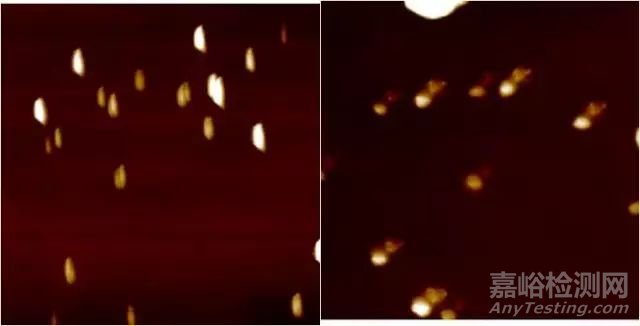 原子力顯微鏡（AFM）的使用和成像技巧