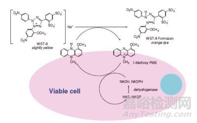 激光淬火技術(shù)表面強(qiáng)化技術(shù)解析