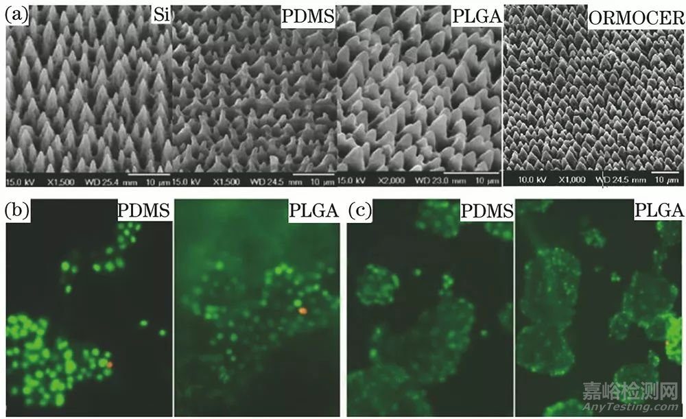 激光微加工技術(shù)制備在4類生物應(yīng)用器械上的應(yīng)用