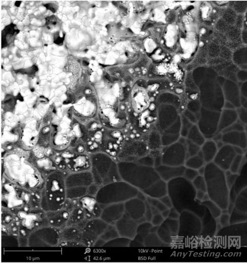 掃描電鏡工作原理：背散射電子的檢測(cè)
