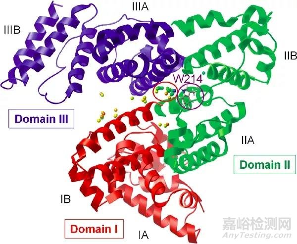 AIE材料在生物檢測與成像領(lǐng)域的發(fā)展