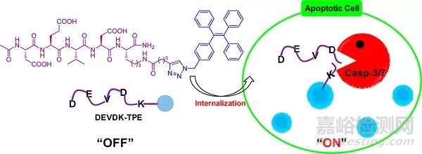 AIE材料在生物檢測與成像領(lǐng)域的發(fā)展