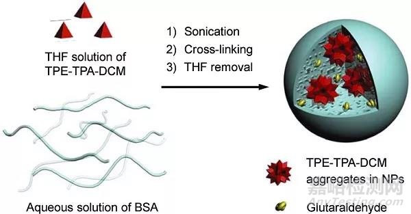 AIE材料在生物檢測與成像領(lǐng)域的發(fā)展