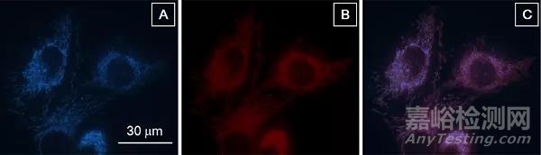 AIE材料在生物檢測與成像領(lǐng)域的發(fā)展