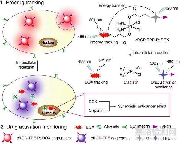 AIE材料在生物檢測與成像領(lǐng)域的發(fā)展