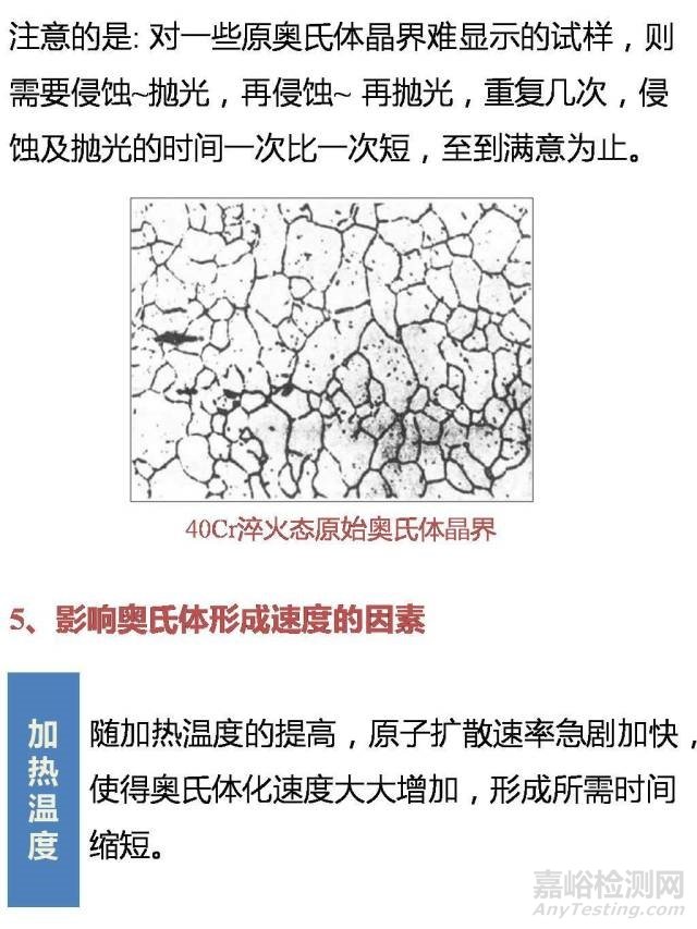 一文帶你看懂奧氏體