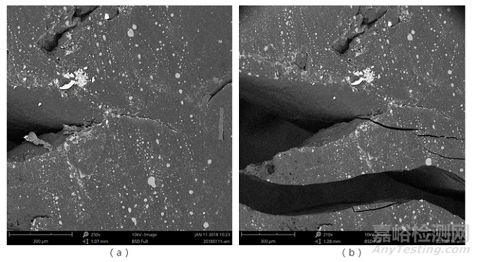 掃描電鏡中的原位拉伸臺應用實例