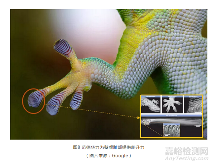 掃描電鏡中的原位拉伸臺應用實例