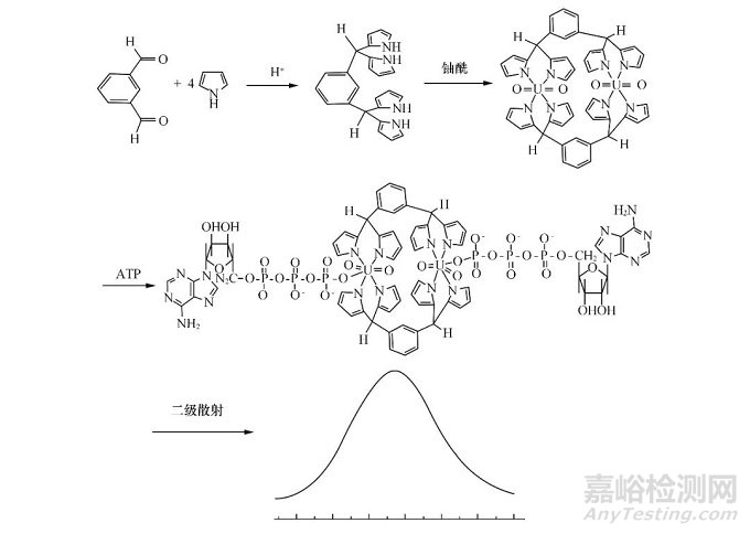 雙核鈾酰配合物二級(jí)散射法檢測(cè)ATP