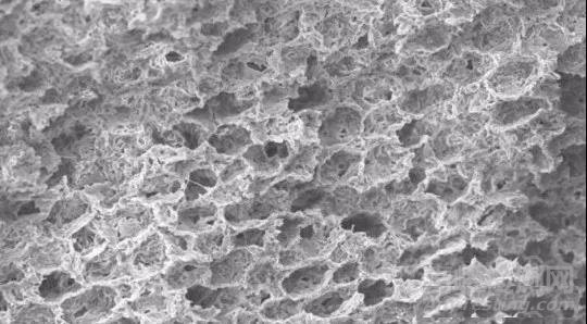 science：可以給房子降溫的涂料！