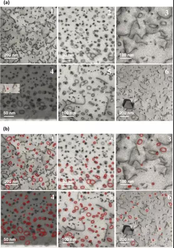 電子顯微圖像的自動(dòng)識(shí)別