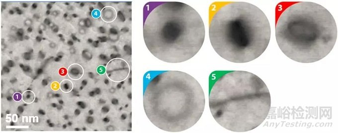 電子顯微圖像的自動(dòng)識(shí)別