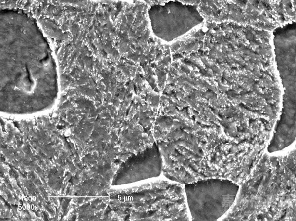 不銹鋼螺栓斷裂失效分析