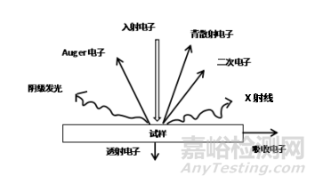 如何使用EDS對材料進行定性定量分析？