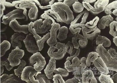 幾種主流的棉纖維細度檢測技術(shù)