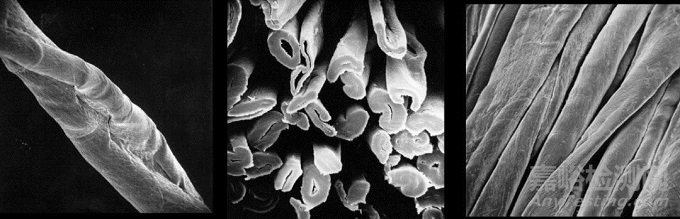 幾種主流的棉纖維細度檢測技術(shù)