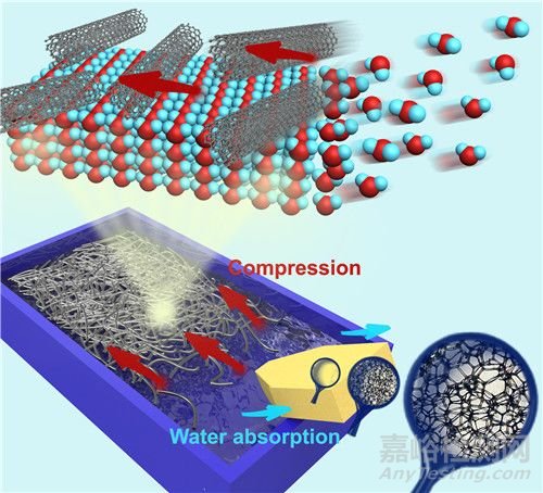 非對(duì)稱高分子二維復(fù)合薄膜制備及其可穿戴傳感器應(yīng)用方面取得進(jìn)展