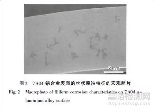 艦載機(jī)的腐蝕失效分析及其預(yù)防