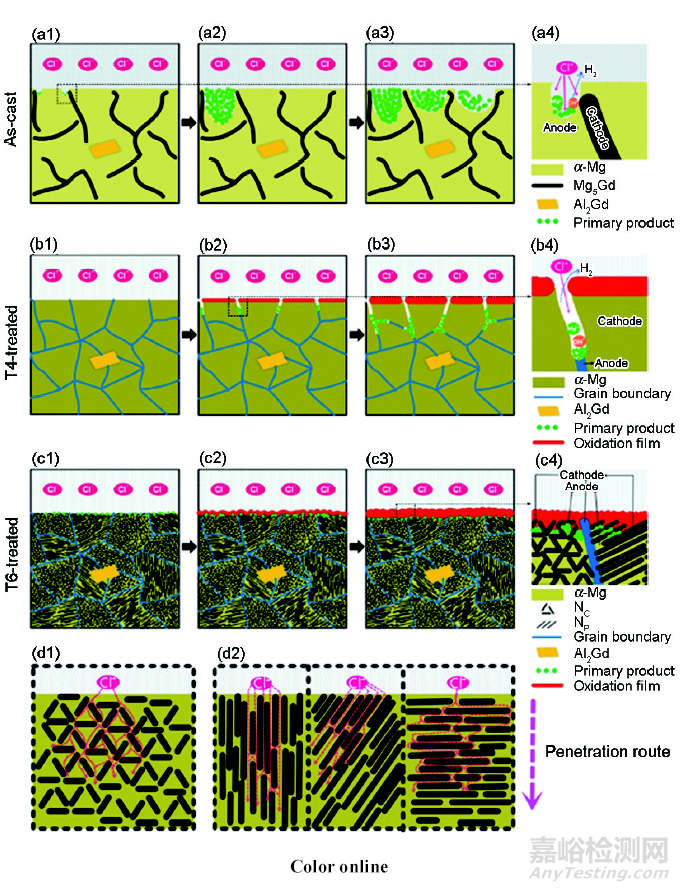 醫(yī)用鎂合金：成分、組織及腐蝕