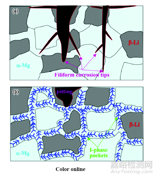 醫(yī)用鎂合金：成分、組織及腐蝕