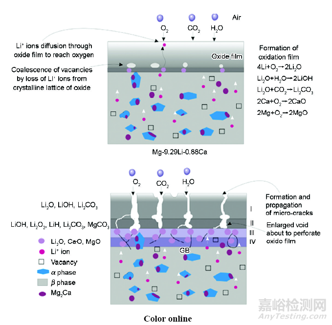 醫(yī)用鎂合金：成分、組織及腐蝕
