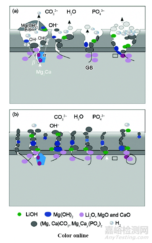 醫(yī)用鎂合金：成分、組織及腐蝕