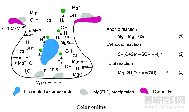 醫(yī)用鎂合金：成分、組織及腐蝕