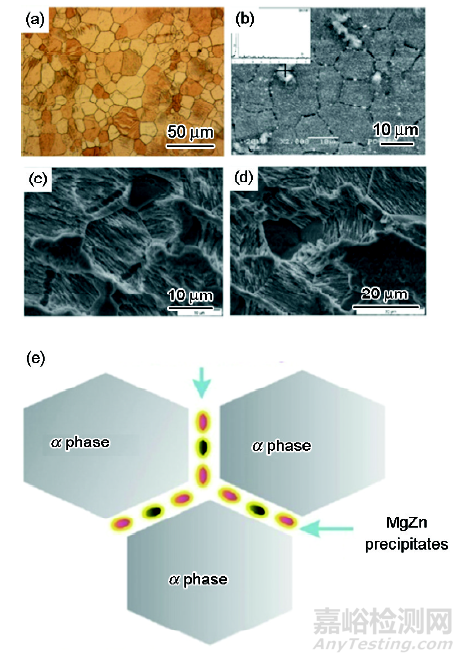 醫(yī)用鎂合金：成分、組織及腐蝕