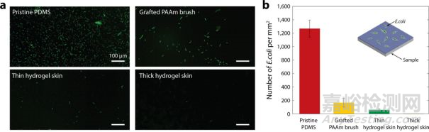 水凝膠涂層讓復雜醫(yī)療器械長出一層可控厚度適合人體柔軟耐用的皮膚