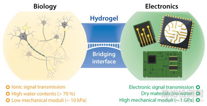 水凝膠涂層讓復雜醫(yī)療器械長出一層可控厚度適合人體柔軟耐用的皮膚