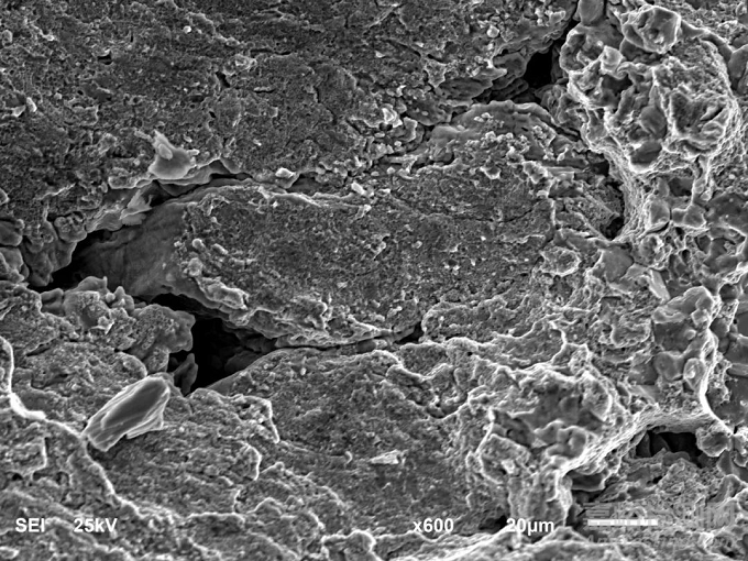 特大型軸承外圈早期失效分析案例