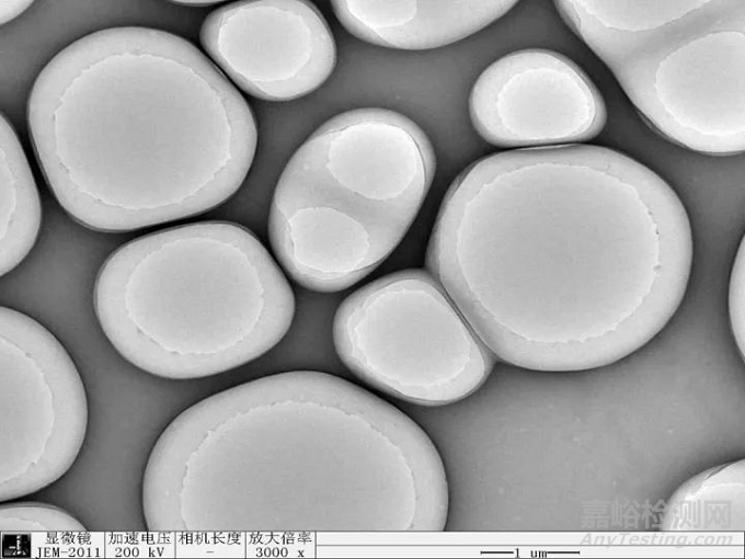 如何拍出高質(zhì)量SEM、TEM照片