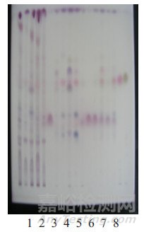 種植、野生薄荷原藥材調(diào)研考察及分析