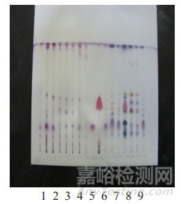 種植、野生薄荷原藥材調(diào)研考察及分析