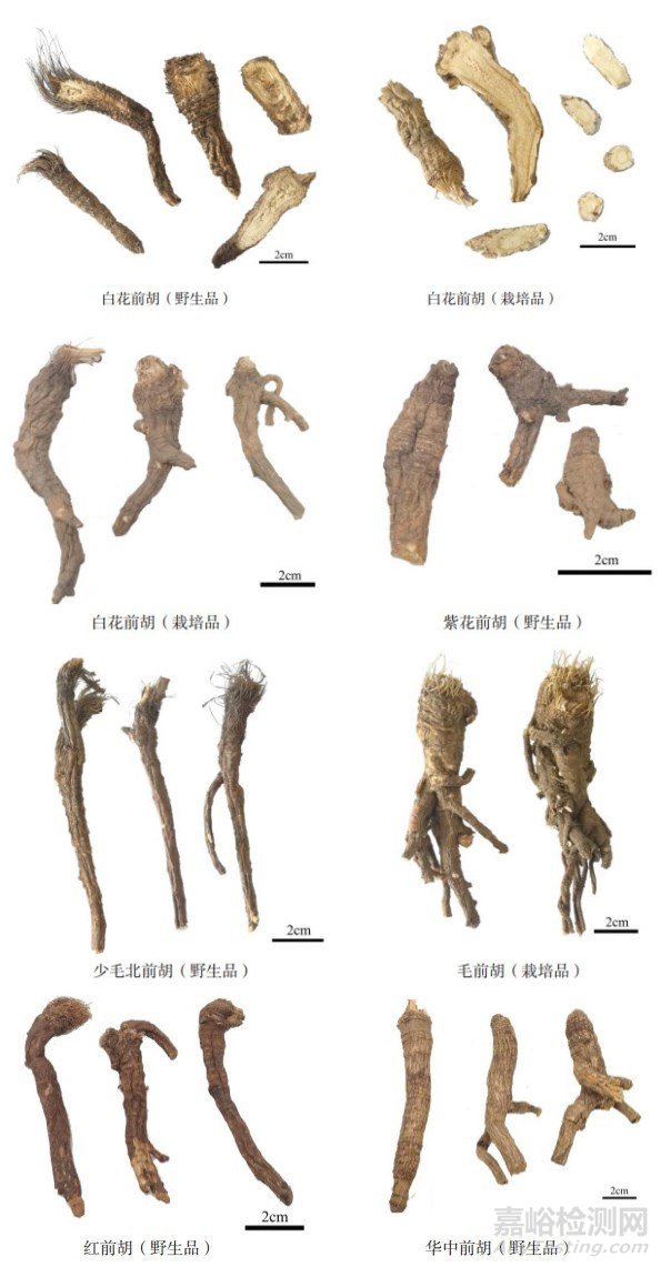 前胡類藥材的化學(xué)成分及質(zhì)量控制方法