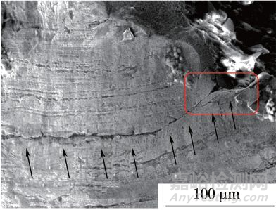 汽車后背門用植絨彈簧斷裂失效分析