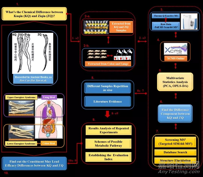 基于代謝組學(xué)方法能較為直觀和完整地呈現(xiàn)體外復(fù)雜體系中化學(xué)成分的輪廓差異及其在體內(nèi)吸收、分布和代謝的差異。
