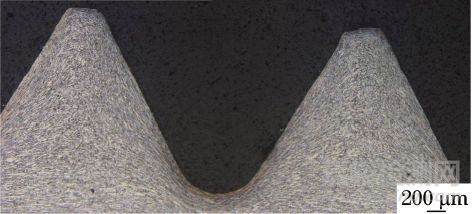 S32750雙相不銹鋼六角頭螺栓腐蝕失效分析