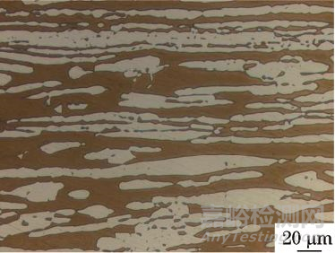 S32750雙相不銹鋼六角頭螺栓腐蝕失效分析
