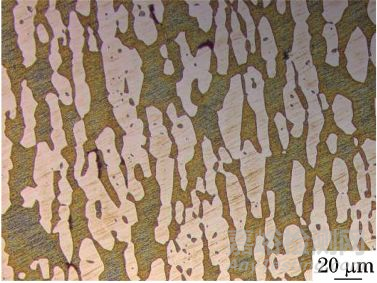 S32750雙相不銹鋼六角頭螺栓腐蝕失效分析