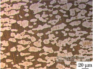S32750雙相不銹鋼六角頭螺栓腐蝕失效分析