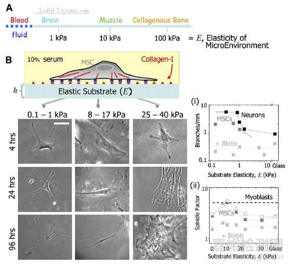 水凝膠材料的性能與檢測方法
