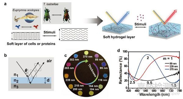 水凝膠材料的性能與檢測方法