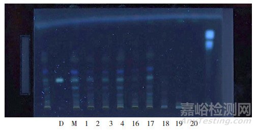 雞血藤飲片中兒茶素和表兒茶素的含量測定方法