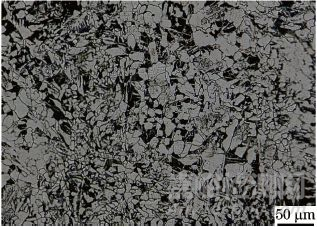 60mm厚Q345鋼板電子束焊接接頭的顯微組織及硬度分布