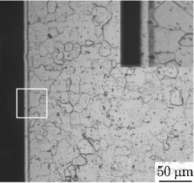 TiNi合金表面鉬合金層的物相與性能