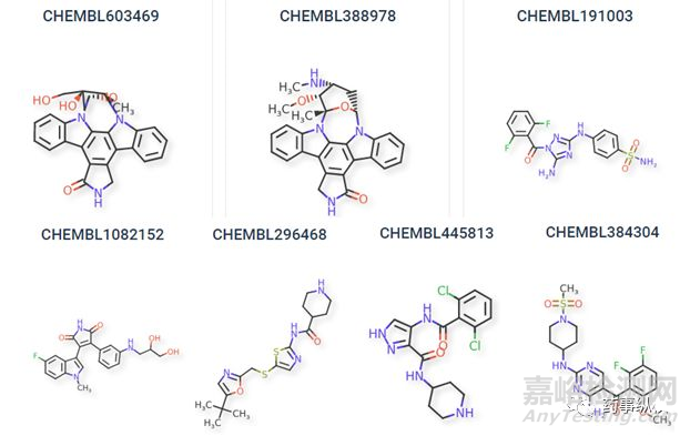 CDK16成為治療癌癥的潛力藥靶