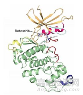 CDK16成為治療癌癥的潛力藥靶