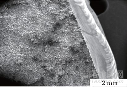 304不銹鋼彎頭開(kāi)裂失效分析 