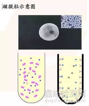 IVD之化學(xué)發(fā)光技術(shù)